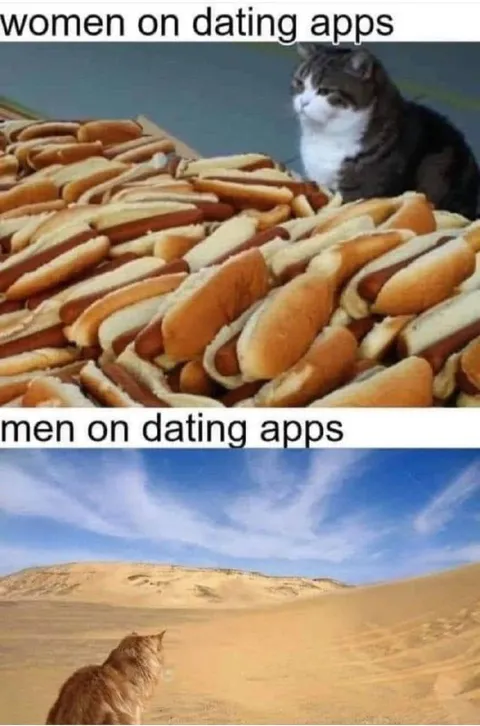 Women and Men on Dating Apps