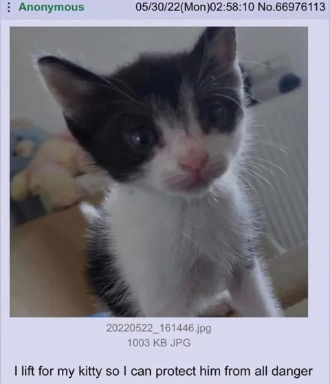 Lifting for My Kitty