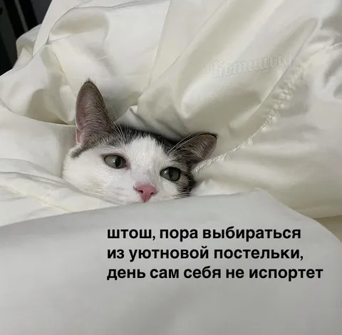 Пора выбираться из постельки