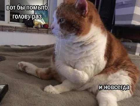 Помыть голову раз и навсегда