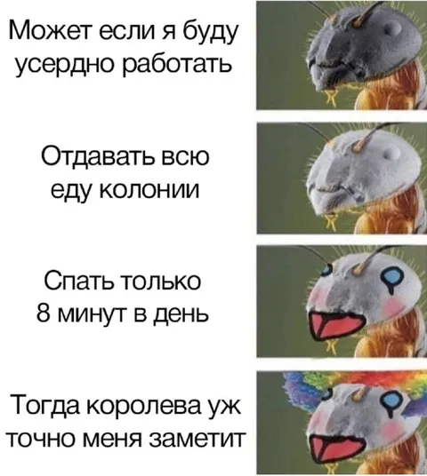 Королева точно меня заметит