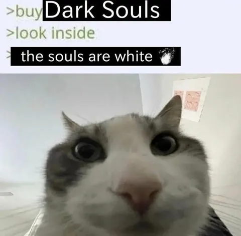 Dark Souls Cat Surprise