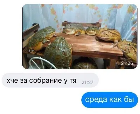 Собрание лягушек в среду