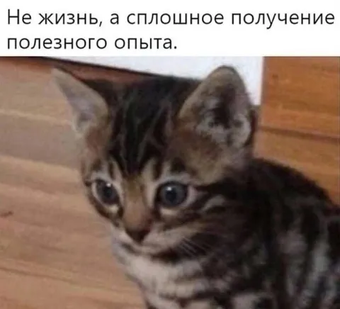 Сплошное получение опыта
