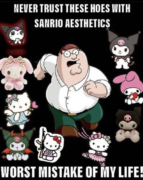 Never Trust Sanrio Aesthetics