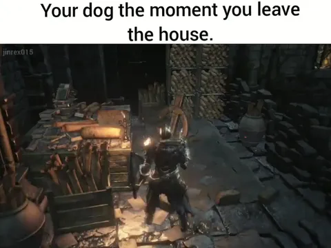Your Dog When You Leave