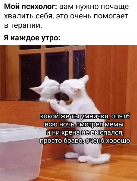 Похвала за бессонную ночь