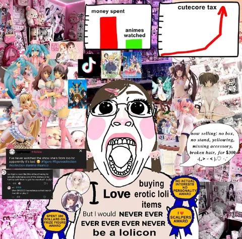 Cute Anime Collector Hypocrisy