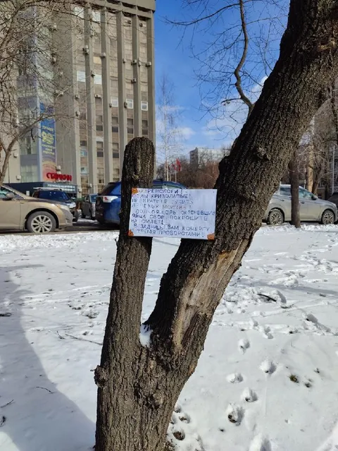 Записка на дереве в снегу