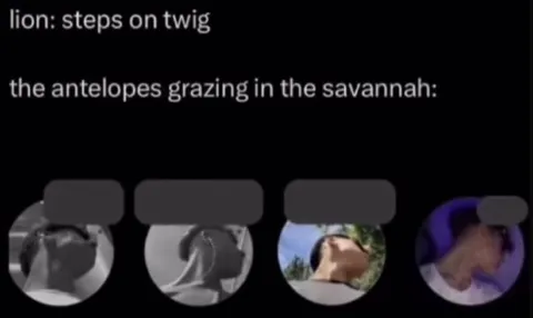 Antelopes Hear a Twig Snap
