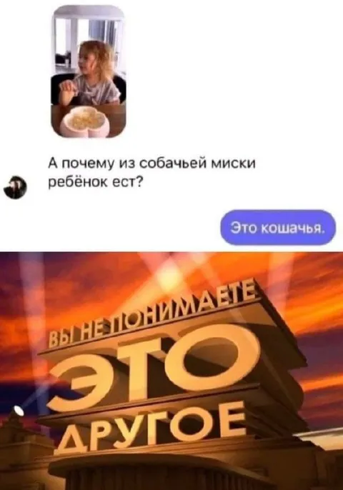 Это кошачья миска