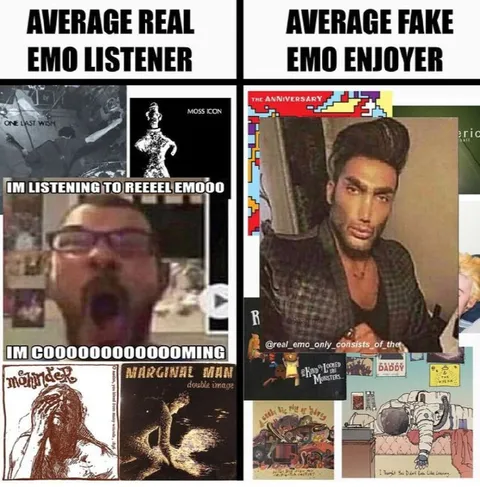 Average Real Emo Listener vs Fake Emo Enjoyer
