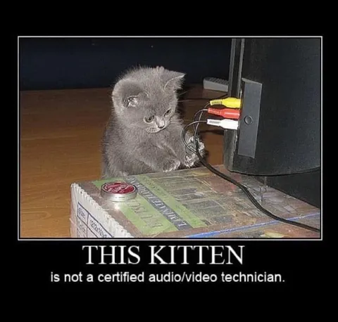 This Kitten Is Not a Technician
