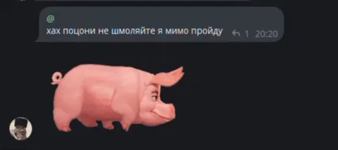 Свинья проходит мимо
