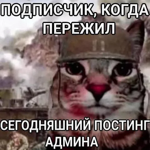 Подписчик пережил постинг админа
