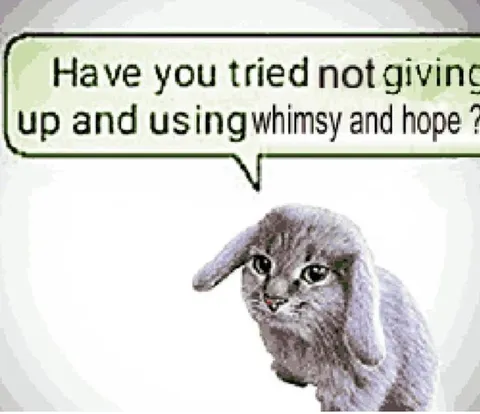 Whimsy and Hope Cat