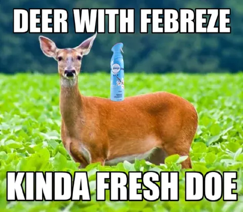 Deer With Febreze