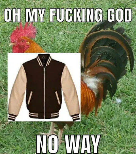 Rooster Looks Like a Jacket