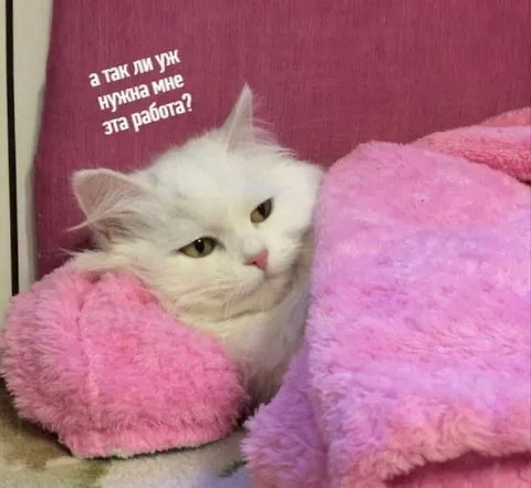 А нужна ли мне эта работа