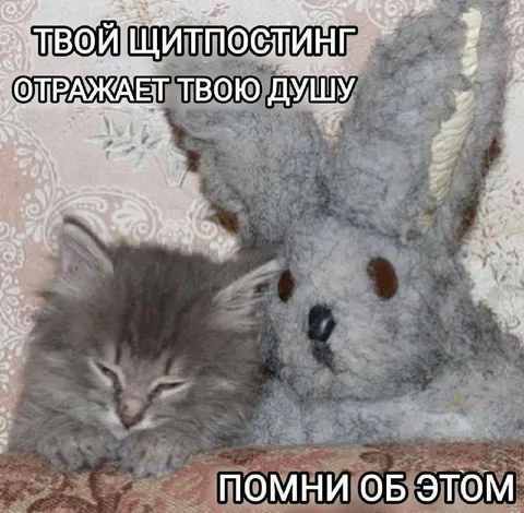 Щитпостинг отражает душу