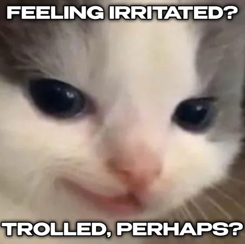 Feeling Irritated Trolled Perhaps Cat