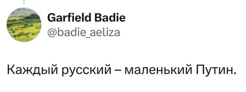 Каждый русский — маленький Путин