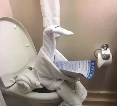 Towel Swan Reading on Toilet