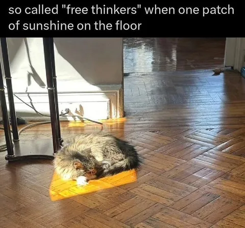 Free Thinkers Find Sunshine