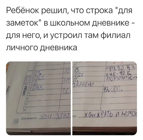 Личный дневник в школьном дневнике