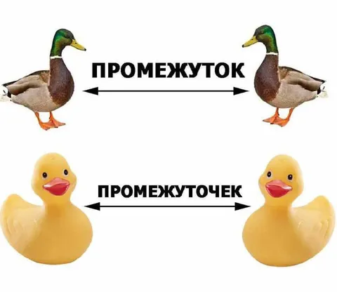 Промежуток между утками