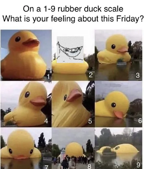 Friday Rubber Duck Scale