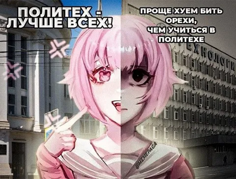 Учиться в Политехе или быть орехом