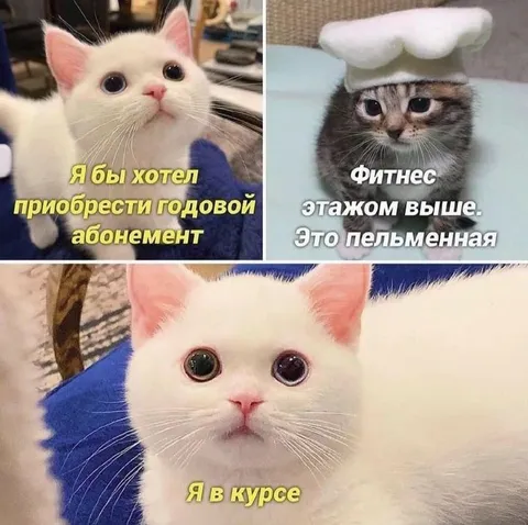 Годовой абонемент в пельменную