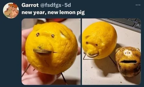 New Year Lemon Pig