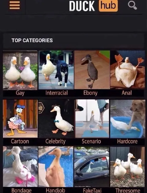 DuckHub Top Categories