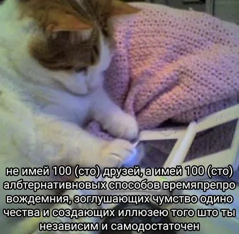Сто способов быть самодостаточным