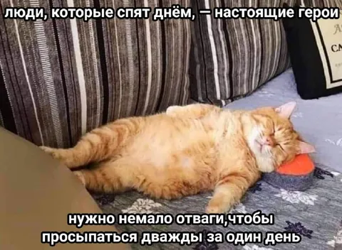 Настоящие герои дневного сна