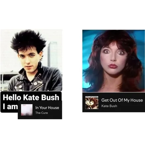 Hello Kate Bush, I Am In Your House