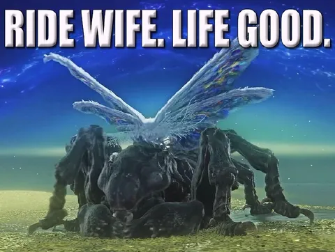 Ride Wife Life Good
