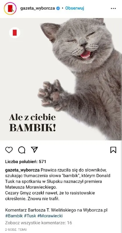 Ale z ciebie bambik