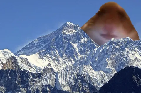 Хомяк над Эверестом