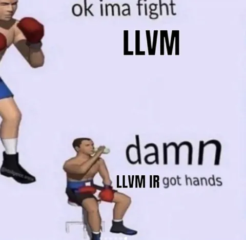 LLVM IR Got Hands