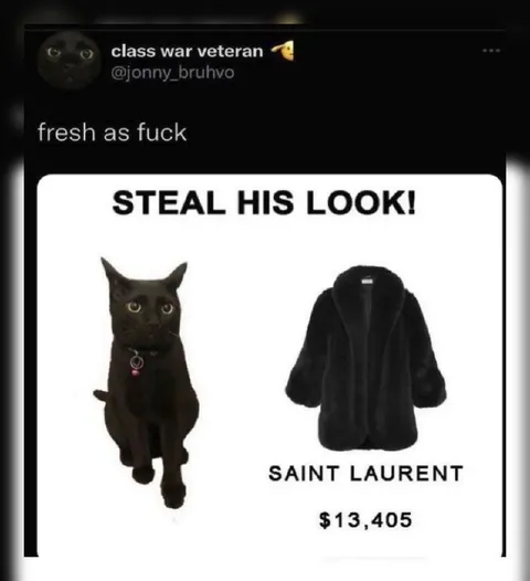 Cat’s Saint Laurent Look