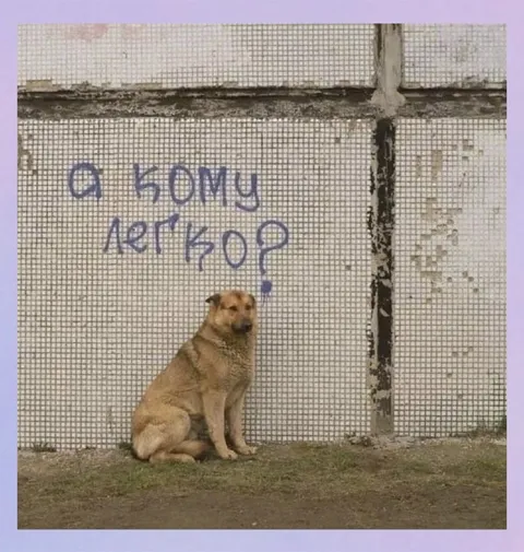 А кому легко?