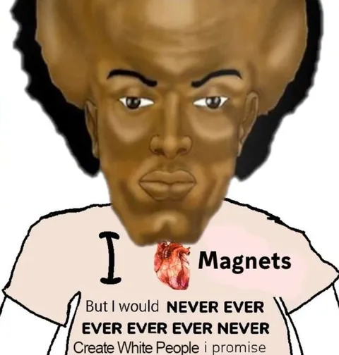 I Love Magnets, I Promise