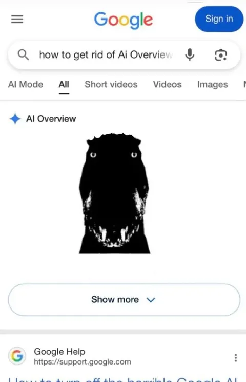 How to Get Rid of AI Overview