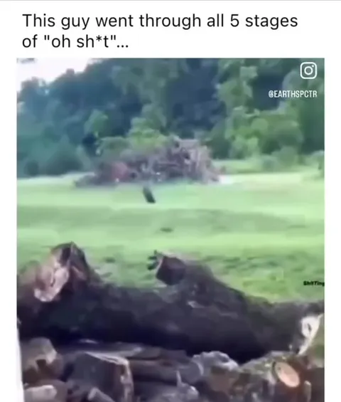 Five Stages of Oh Shit