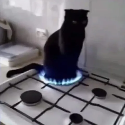 Кот на горящей плите