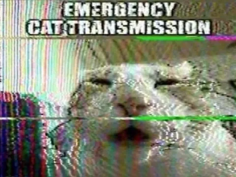 Emergency Cat Transmission