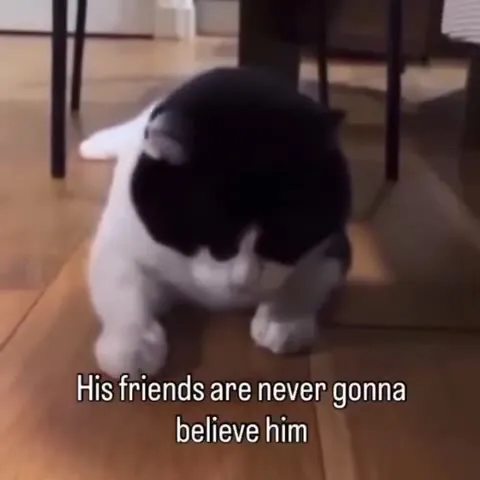 His Friends Won’t Believe Him